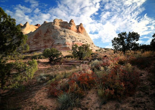 Exploring Valley of Fire State Park: A Photo Journey